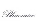 Blumarine Logo.jpg